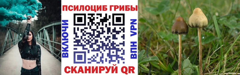 Псилоцибиновые грибы Cubensis  Александровск 