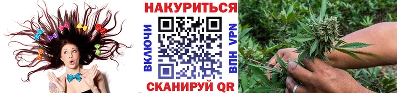 Канабис SATIVA & INDICA  наркошоп  Александровск 